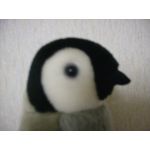 ワカメガネ