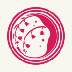 ゲスト