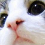 userPhoto