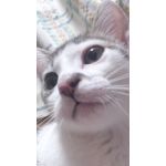 みぃにゃん☆w