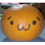 ロリぺドン