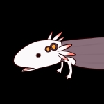 いちにぃ