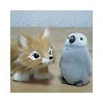 あのこ