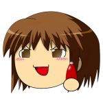 けちゃっぷ