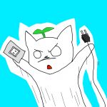 ハンザシ