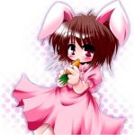 伊５８ちゃんぷる