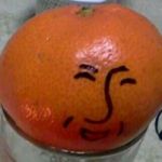 みかん.lzh