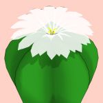 さくさくさぼてん