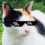 userPhoto