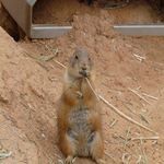 ゆっち