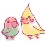 まめこ。