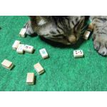 わがつん