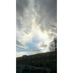 userPhoto