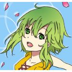 彩葉（いろは）