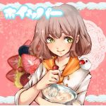 ホイッパー