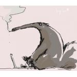 モルト
