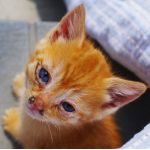 まさすん