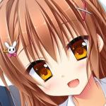 ぽにちゃい