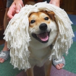 こたつむり