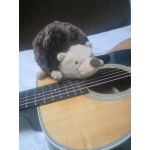 ThumbSongs