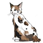 あきよ