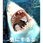 ハマチ