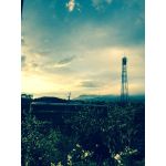 userPhoto