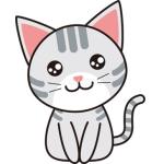 はんはん