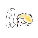とてもオレンジ