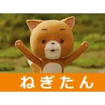 ねぎたん