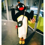 userPhoto