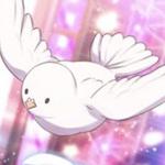 ha☆mi☆he