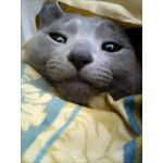 ユーザー画像
