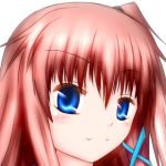 Spe(すぺ)