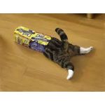 ここる