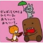 userPhoto