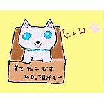 itokon