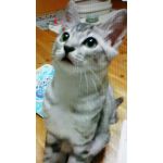 狂乱＝Kちゃん