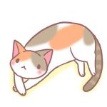 ねこーん