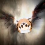うぉんか