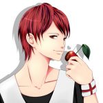 惰性　daSei