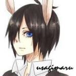 うさぎ丸