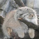 らなたん