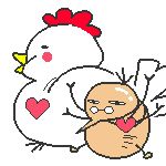 チキンandノミィ