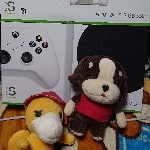 いそり