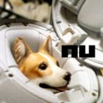 u_sk/nu