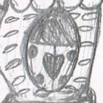userPhoto