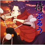 侍ブルー