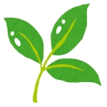 YCL
