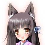きつねこん